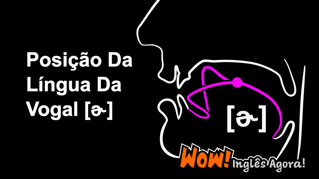 A Posição Relativa Da Língua Na Boca Ao Produzir a Vogal [ɚ].